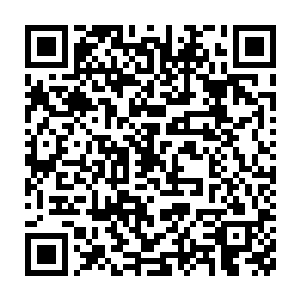 让得跟着周浩一起来的那位男子还有王校长这两位学校领导全部傻眼了二维码生成