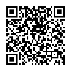 让感觉到她那宛如实质的情绪的流墨墨忍不住在心里翻了个白眼二维码生成