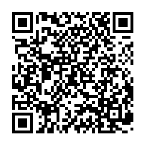 让我们以热烈的掌声欢迎来自咱们俄罗斯的表演艺术家闪亮登场……二维码生成