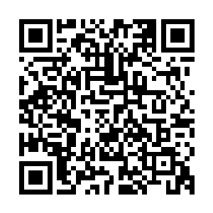 让我们在今天早上成功的将那藏在领导队伍里的叛徒给抓了出来二维码生成