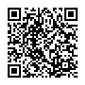 让我们在旅行社派人过来时候告诉旅行社的人他们的具体位置二维码生成