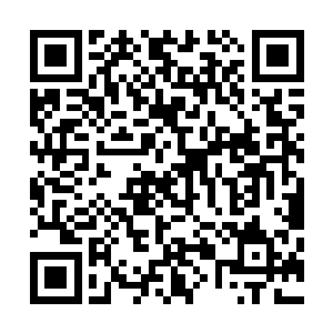 让我们来看看排名第十八位的猎狐犬公司在这一年里的表现二维码生成