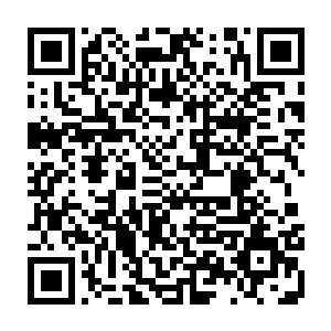 让无数的人都记住了这个看起来简陋但却给他们带来了欢乐和震撼的水族馆二维码生成