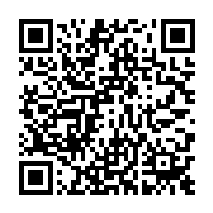让梓箐对曾经所有模糊的认知变得无比透彻和清晰起来二维码生成