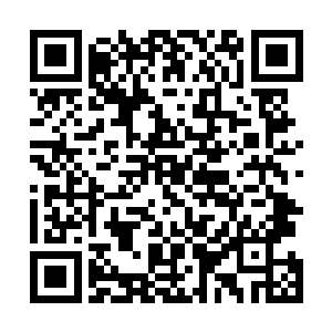 让楚暮最初勉强掌握四方问真步第二重到现在熟练的掌握二维码生成