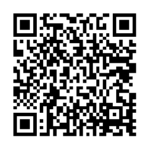 让欧起带着几名与林封谨不睦的内门弟子去了另外一辆马车二维码生成
