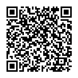 让流墨墨忍不住猜测这倒霉孩子在和她失散的时候经历了什么惨绝人寰的事儿二维码生成