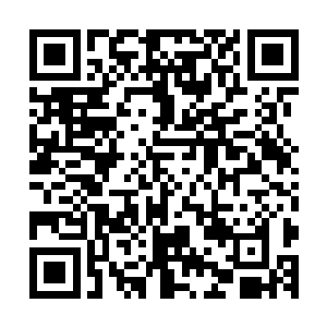 让盛州境内和与盛州相邻的邻近几州的无数家族鸡飞狗跳……二维码生成
