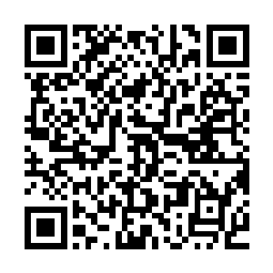 让着原本几乎快要匮乏的元灵之气竟在一瞬间恢复到盈满的状态二维码生成