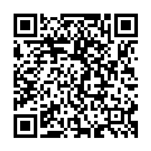 让神经中涌动的生物电流和汽车的线路发生着自然而然的反应二维码生成