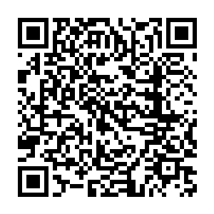 让秦方他们的不舒适度降到了最低的……这样的路途也就不算太难熬了二维码生成
