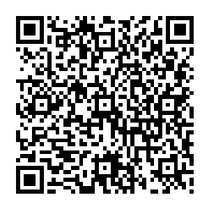 让秦方拿着枪的手也是情不自禁的丢掉了手中的枪的……但是秦方却顺势在地上一滚二维码生成