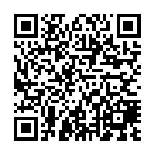 让穆凯凯和秋松仙人惊的急忙揪过他们暴力把他们给弄醒了二维码生成