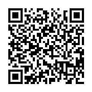 让老族长恨不得把咱家的地每个土坷垃都敲碎瞅瞅……二维码生成