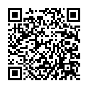 让花仙子的目光和众多仙人的注意力都汇聚到了流墨墨他们身上二维码生成