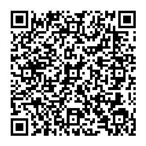 让许家修士已经对年轻的许紫烟另眼相看・但是还没有感觉到许家没有了许紫烟会是什么样的局面二维码生成