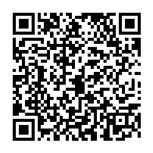 让该校的一些优秀生在出道前先以实习生的名义参加le公司的各项活动二维码生成