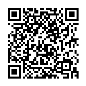 让这两位可以在主宇宙中任意穿梭的大佬在他有需要时做好准备二维码生成