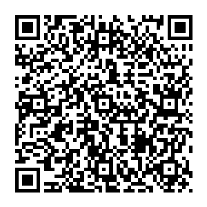 让这位年轻同志跟对方沟通的时候出了岔子……现在马哈代夫一方彻底推翻了之前的整套设计方案二维码生成