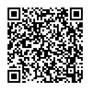 让这样毫无用处的东西来决定人的价值……你不觉得这样的人类很可怜么二维码生成