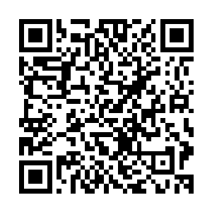 让顽固势力的领袖们能够有机会一起商讨如何给离天界主挖坑二维码生成