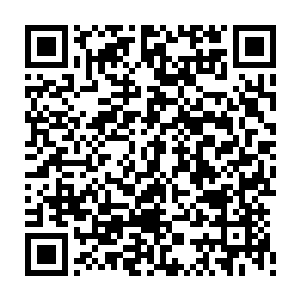 让魔族在这次圣战之中准备的大杀器之一的傀儡母虫一下子受到了极大的克制二维码生成