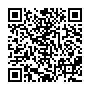 议会那些老家伙最后会决定全力以赴地推衍巨兽之眠的秘密吧二维码生成
