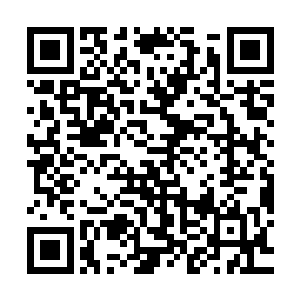 议员先生们不可能对赫尔墨号的沉没与诸多士兵的死亡置之不理二维码生成