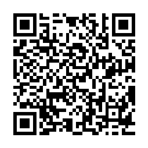 记录的便是丹器阁的炼器大师研究出的一种炼制灵植葫芦的方法二维码生成