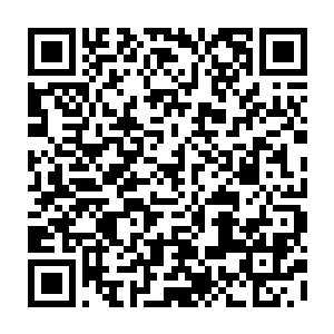 记得二十年前你来学校找过鞠教授让鞠教授将一个小女孩的手指头再生吗二维码生成