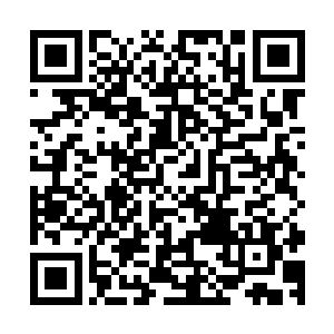 记得刚发了几万字就有几名读者鼓励支持来着……可你们人呢二维码生成