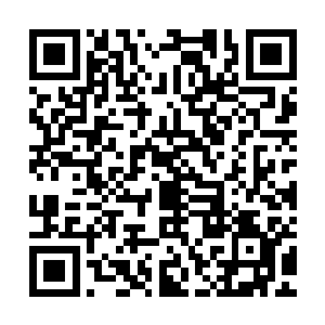 记得那些无人在乎的孤独和痛苦……但这些过去组成了完整的她二维码生成