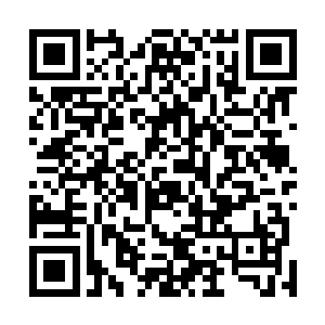 记者们的收获完全就止步于医院的一些支离破碎线索罢了二维码生成
