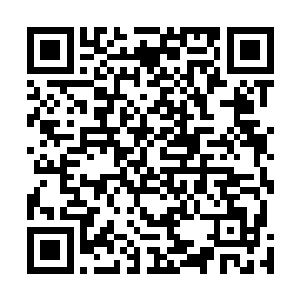 记者和球迷们都已经拍到好几拨中国国脚们出门的画面了二维码生成