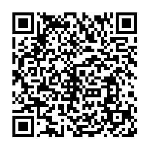 记者是一种非常神奇的生物――他们几乎都是身形非常矮小的侏儒二维码生成