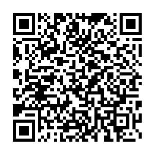 讲的是一个无聊到极点的化学专业大学生尝试寻找出传说中的化尸水二维码生成