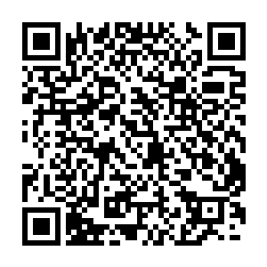 许久不曾如此舒适宁静睡过一回的林何头一次如此舒心地睡了一晚二维码生成