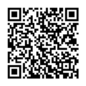 许久没有这么忙碌过的妮娜愤怒的一爪子抓坏了电脑桌的一角二维码生成