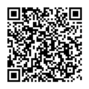 许云元在告辞之前询问许紫烟是不是在许家仙国召见一次许家修士二维码生成