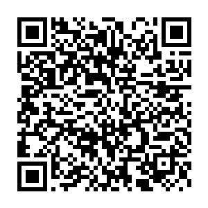许博年和湛名都那两条老狗我一定亲自把他们押到你面前任你处置二维码生成