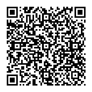 许多人可能穷其一生也无法有我如此殊荣可以得以与在座各位商政以及社会名流们共进晚宴的机会二维码生成