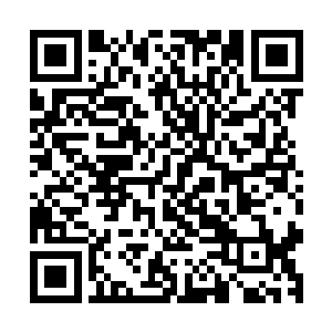 许多伤势重到他如果不当场复原可能下一秒钟就会死去的地步二维码生成