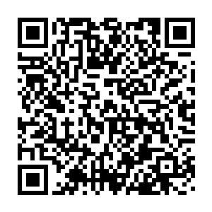 许多大势力不惜付出重大代价在拍卖会上求得珍贵强大妖兽的精血二维码生成