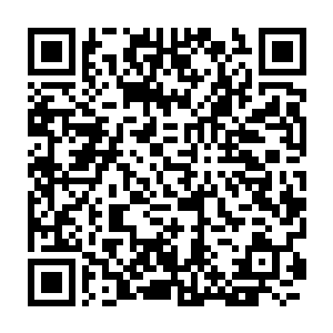 许多都是各大宗门的精锐弟子甚至宗主长老们的后人或者亲传弟子二维码生成
