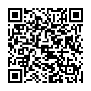 许多鬼修一击毙命的手段在仙台眼里就变得如鸡肋一般二维码生成