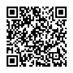 许嬷嬷抬眼瞧着晏锦没心没肺和小虞氏唠家常的样子二维码生成