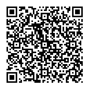 许紫烟便将自己的出身和已经编造得连自己都已经相信的遇到女仙的谎言再一次向着柳清寒娓娓道来二维码生成