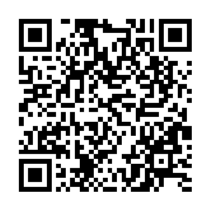许紫烟和段天涯并没有因为三尾狐狸的离去而敢稍微松懈二维码生成