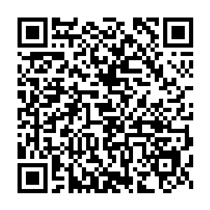 许紫烟坚信在府将的居住地一定会有很多这样的宝器或者更高级的宝器二维码生成
