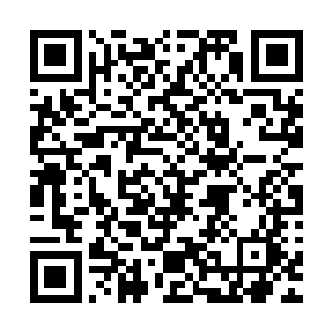 许紫烟已经将三品顶级符箓布设的大阵在大殿的周围布设完毕二维码生成